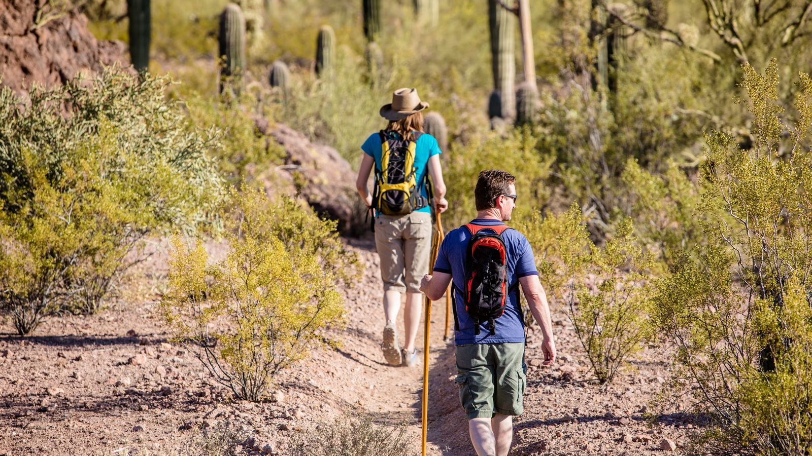 Hiking Trails Near Desert Botanical Garden, Phoenix